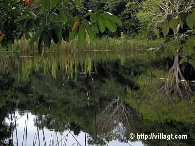 aguada-lagarto-Tikal