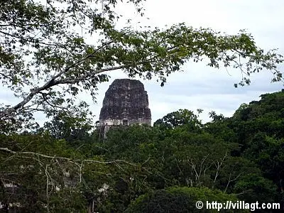 selva-Tikal